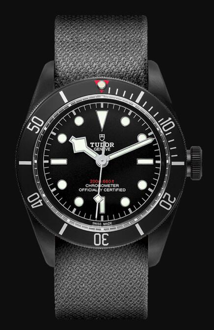 Tudor BLACK BAY DARK M79230DK-0006 Replica Watch